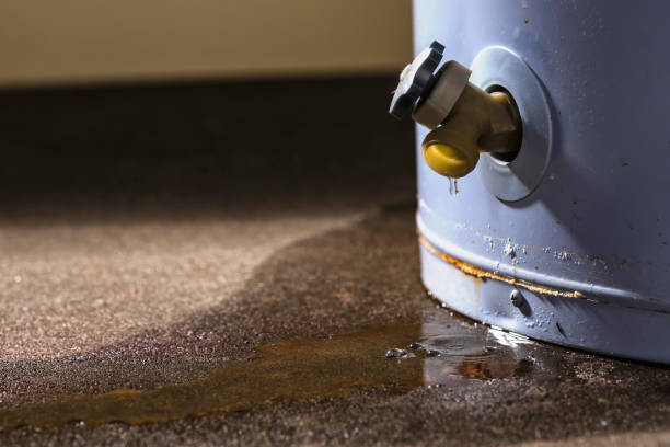 Best Water damage restoration near me  in Frankston, TX