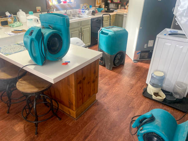 Best Commercial water damage restoration  in Frankston, TX