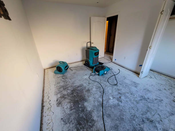 Best Emergency water damage restoration  in Frankston, TX