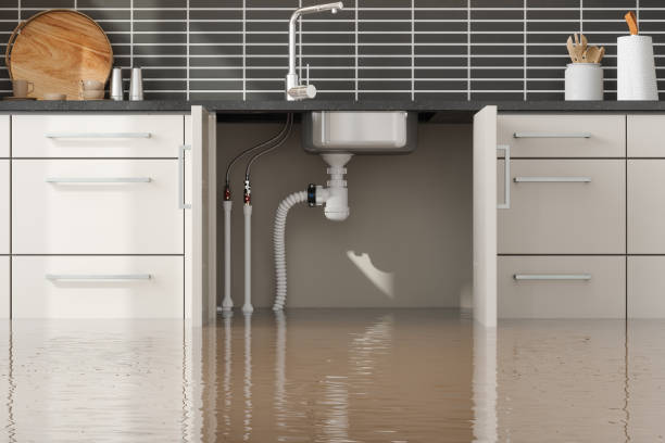 Best Ceiling water damage repair  in Frankston, TX