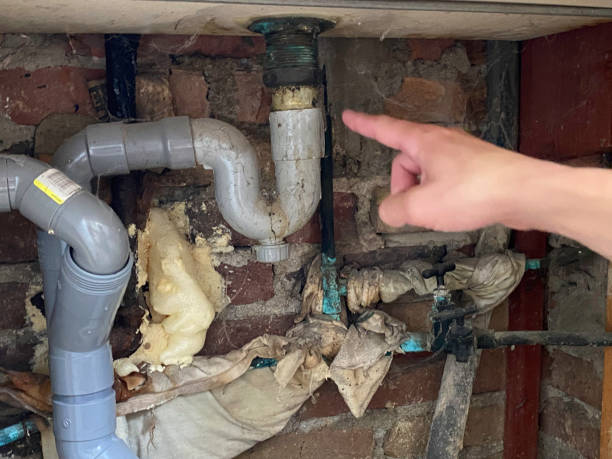 Best Flooded house restoration  in Frankston, TX