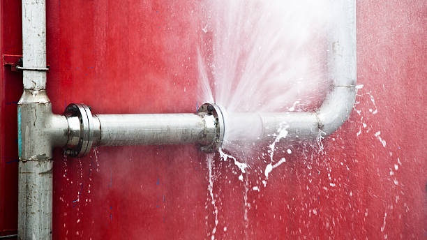 Best Water damage restoration process  in Frankston, TX